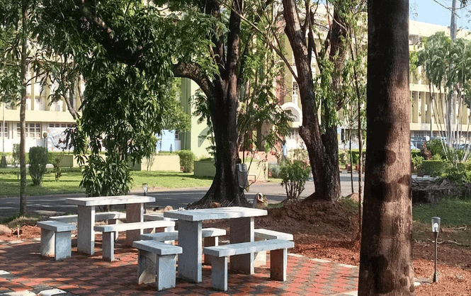 1989 Batch:  Contributions to Campus